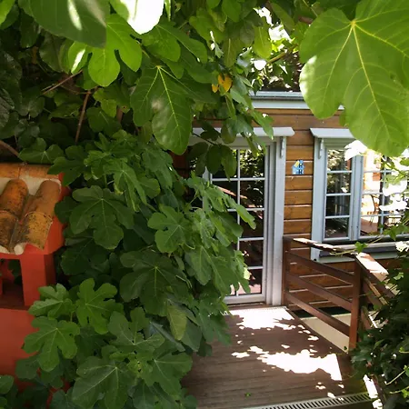 Hotel Meson De Sancho Tarifa