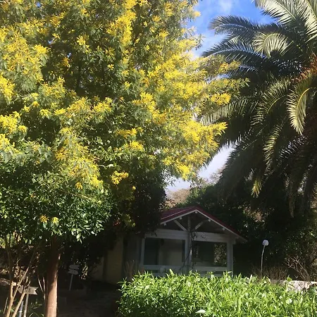 Mesón De Sancho 3*