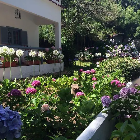 Meson De Sancho 호텔 타리파