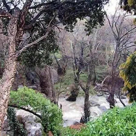 Meson De Sancho Tarifa