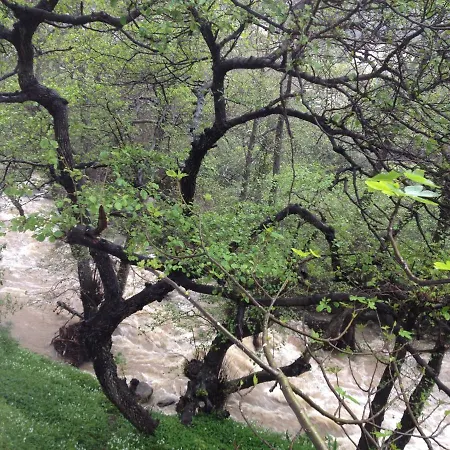 Hotell Meson De Sancho Tarifa